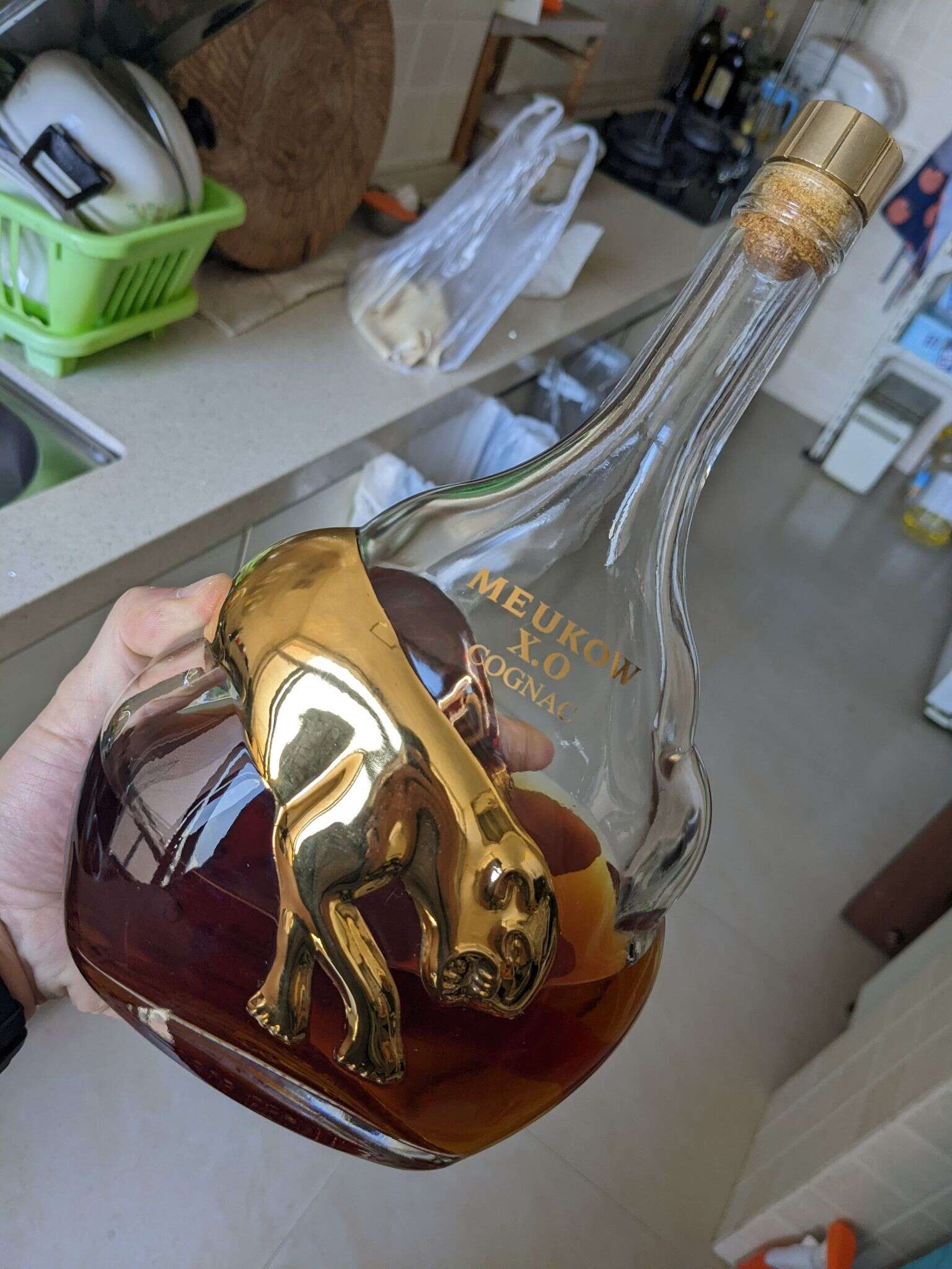 PXL 20220226 062434564