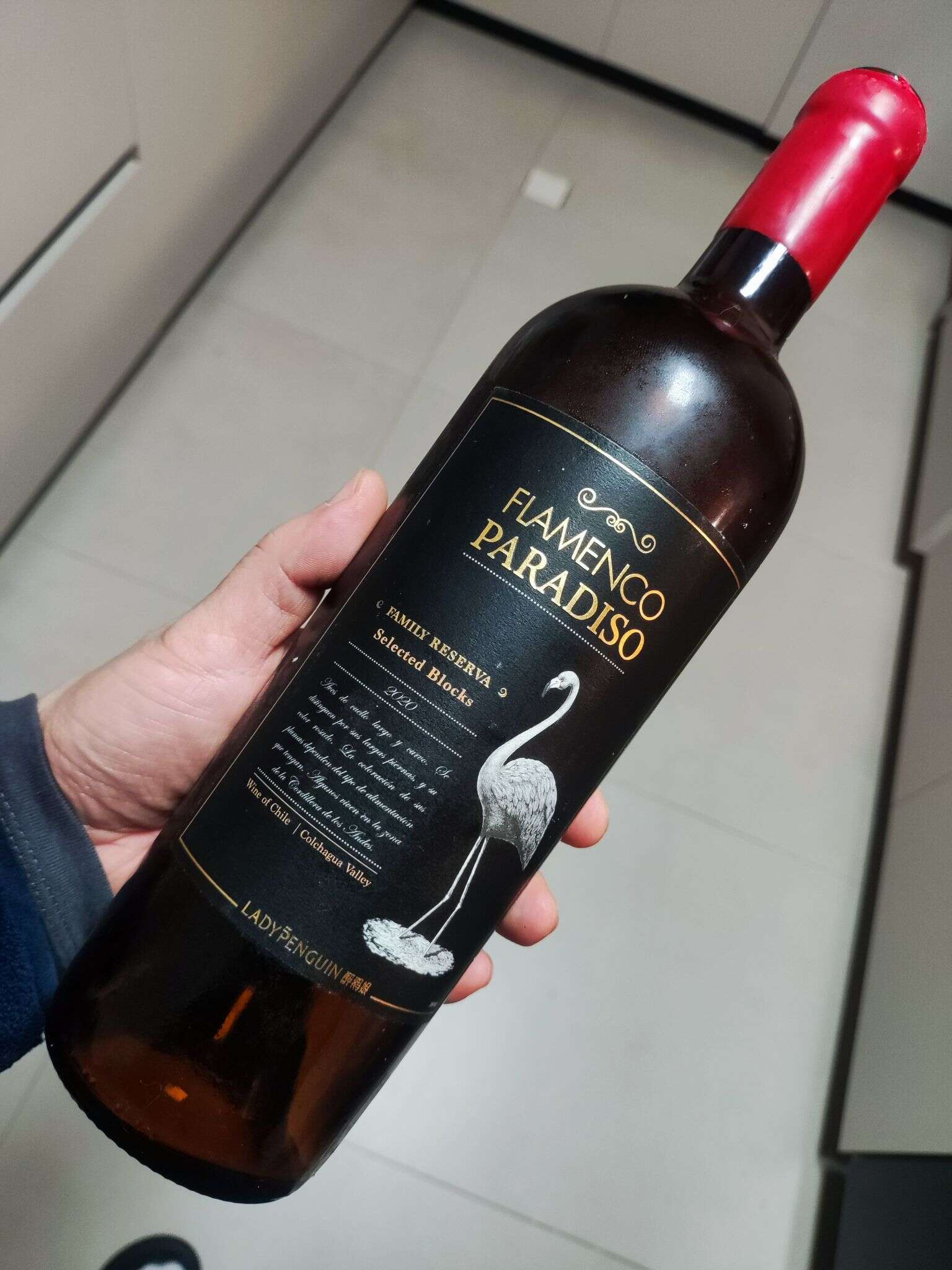 MVIMG 20241117 192142